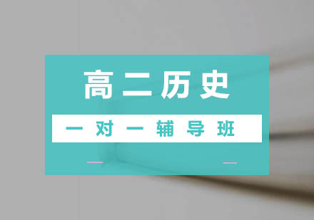 高二历史一对一辅导班