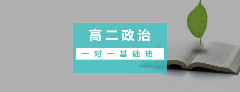 政治学科专项提升