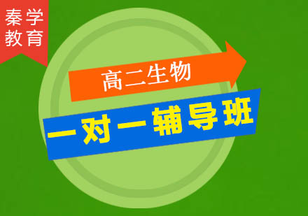 高二生物一对一辅导班