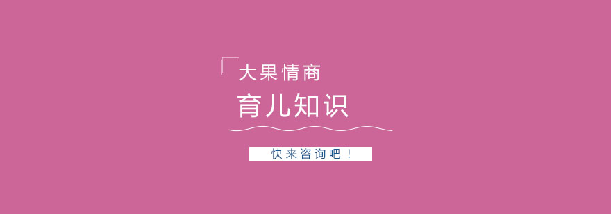家庭教育核心要素解析