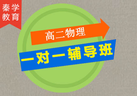 高二物理一对一辅导班