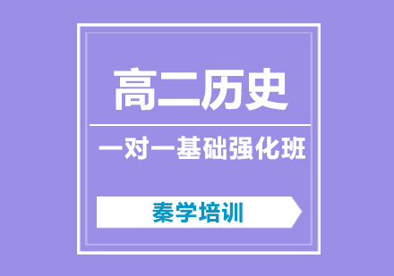 高二历史一对一辅导基础强化课程