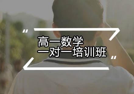 高一数学一对一培训班