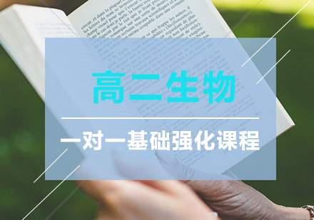 高二生物一对一辅导基础强化课程