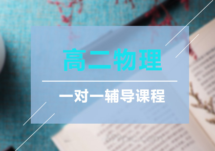 高二物理一对一辅导课程
