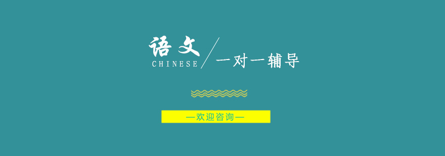 师资团队