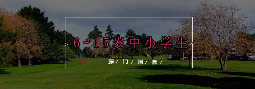 藤门国际教育规划