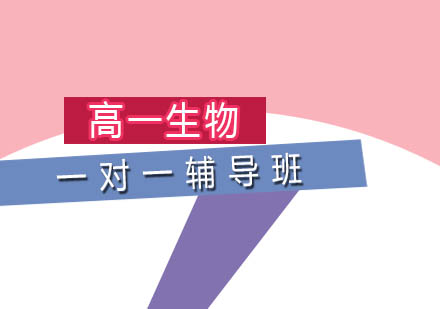 高一生物一对一辅导班