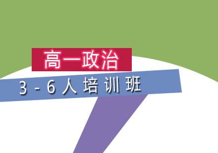 高一政治3-6人培训班