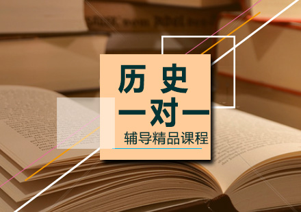高三历史一对一辅导精品课程