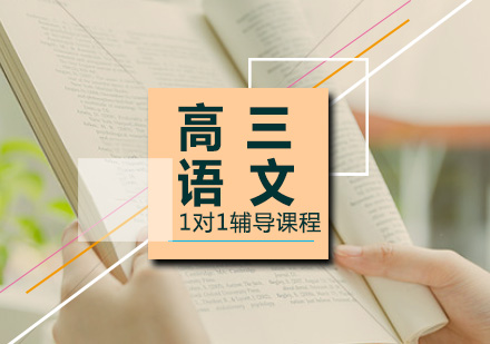 高三语文一对一辅导课程