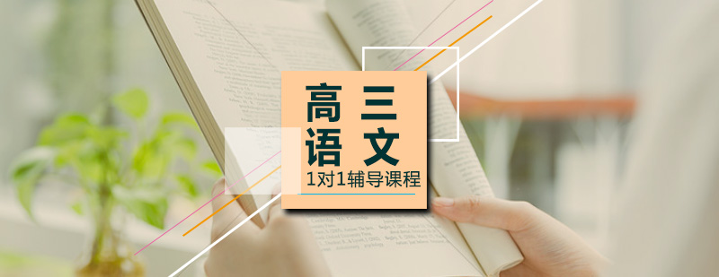 高三语文特训课堂