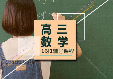 高三数学一对一辅导课程