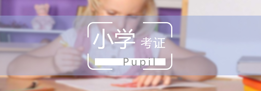 上海小学教师资格双证签约班