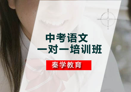 中考语文一对一培训班