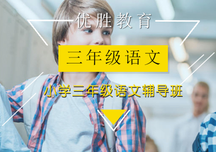 小学三年级语文辅导班