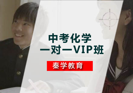 中考化学一对一VIP班