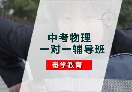 中考物理一对一辅导班