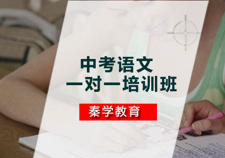 中考语文一对一培训班