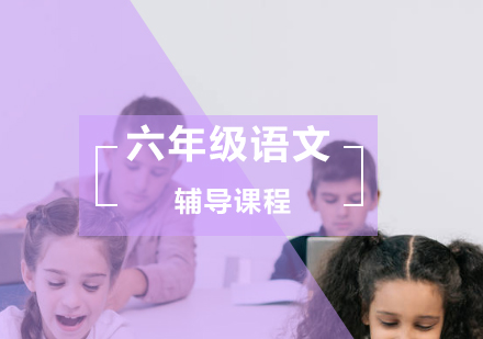 小学六年级语文辅导班