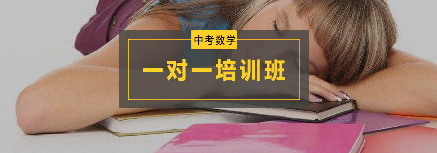 初三数学专项辅导课堂