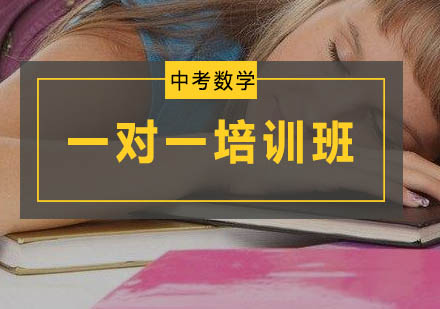 初三数学一对一培训班