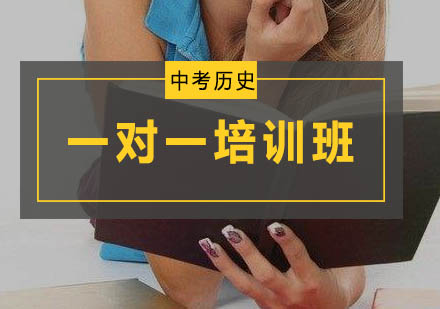 初三历史一对一培训班