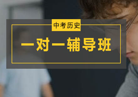 初三历史一对一辅导班