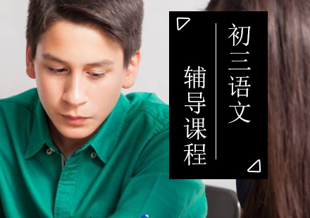 初三语文辅导课程