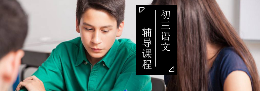 初三语文辅导课程展示