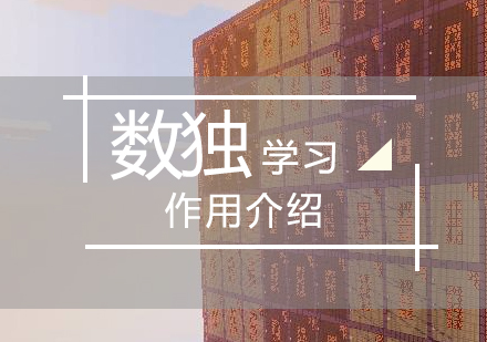 少兒數(shù)獨(dú)訓(xùn)練對(duì)認(rèn)知發(fā)展的多維影響