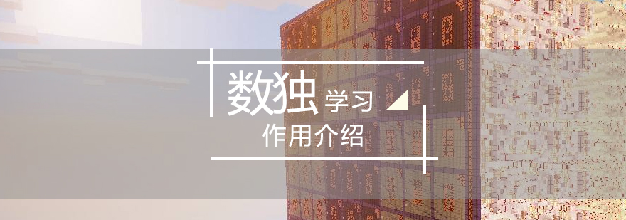 兒童數(shù)獨(dú)訓(xùn)練場(chǎng)景