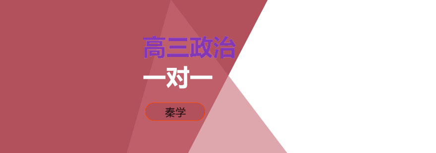 政治辅导教学流程