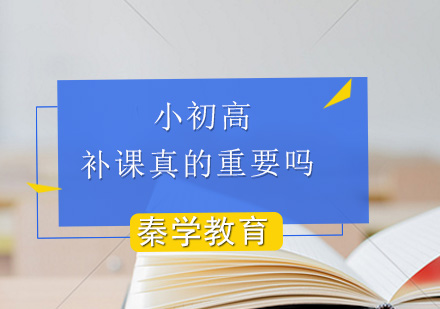 深度解析高中课外辅导现状与成效