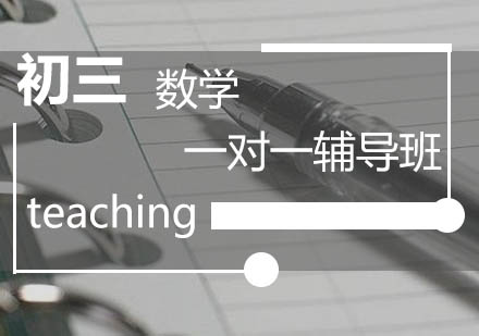 初三数学一对一辅导班
