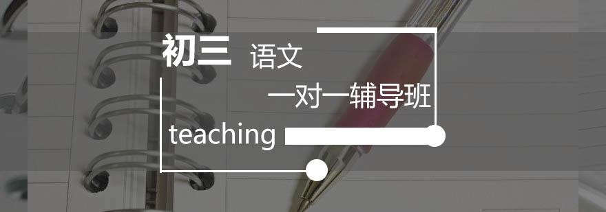 初三语文专项辅导课堂