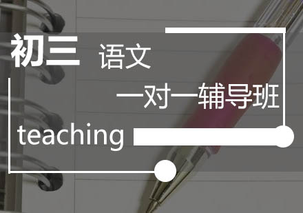 初三语文一对一辅导班