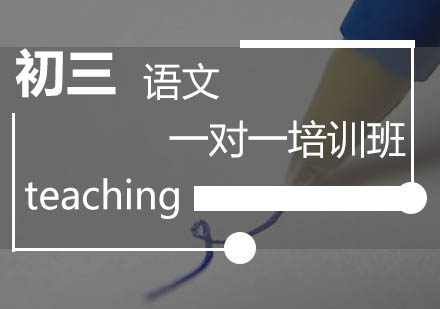 初三语文一对一培训班