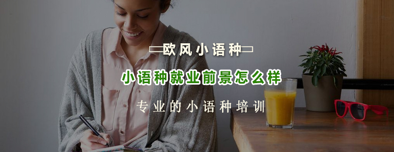 多语种职业发展路径