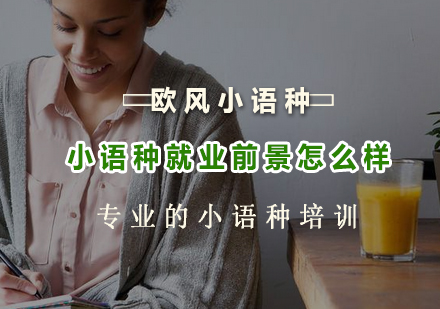 小语种职业发展全景解析