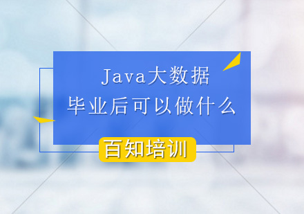 Java大数据方向全解析与职业发展路径