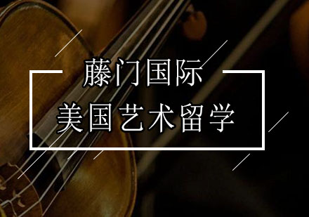 美国艺术类本科名校深度解析