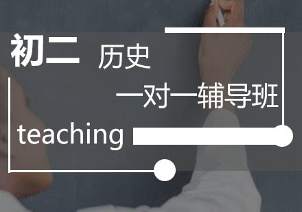 初二历史一对一辅导班