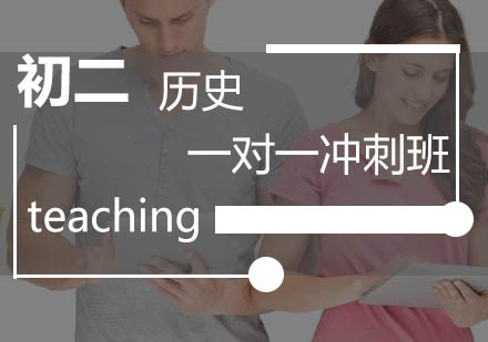 初二历史一对一冲刺班