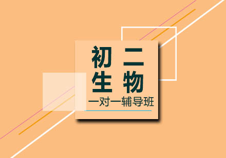 初二生物一对一辅导班