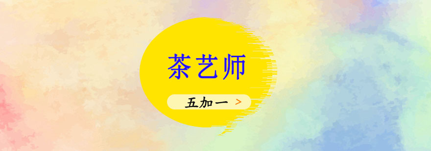 专业茶艺师培训