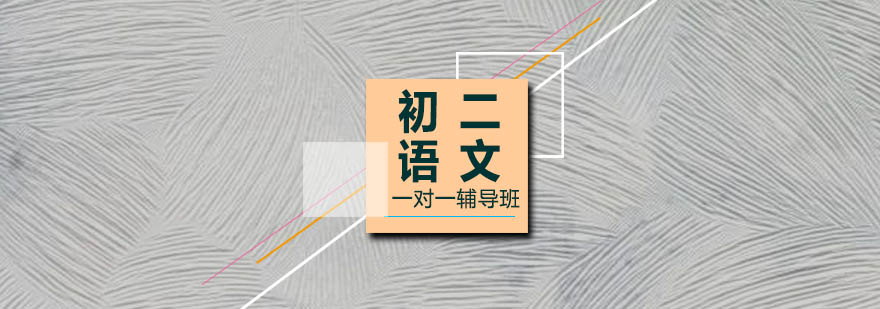 语文专项提升课堂实拍