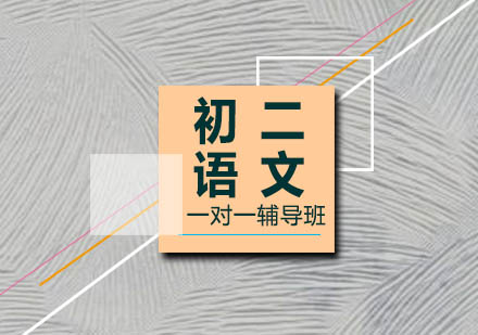 初二语文一对一辅导班