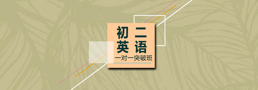 初二英语专项辅导