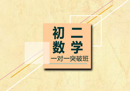 初二数学一对一突破班